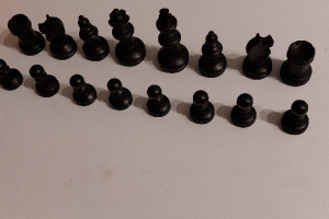 Schachfiguren + Damesteine, ohne Brett