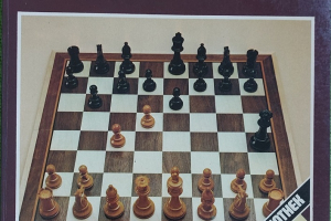 Schacheröffnungen für Schwarz